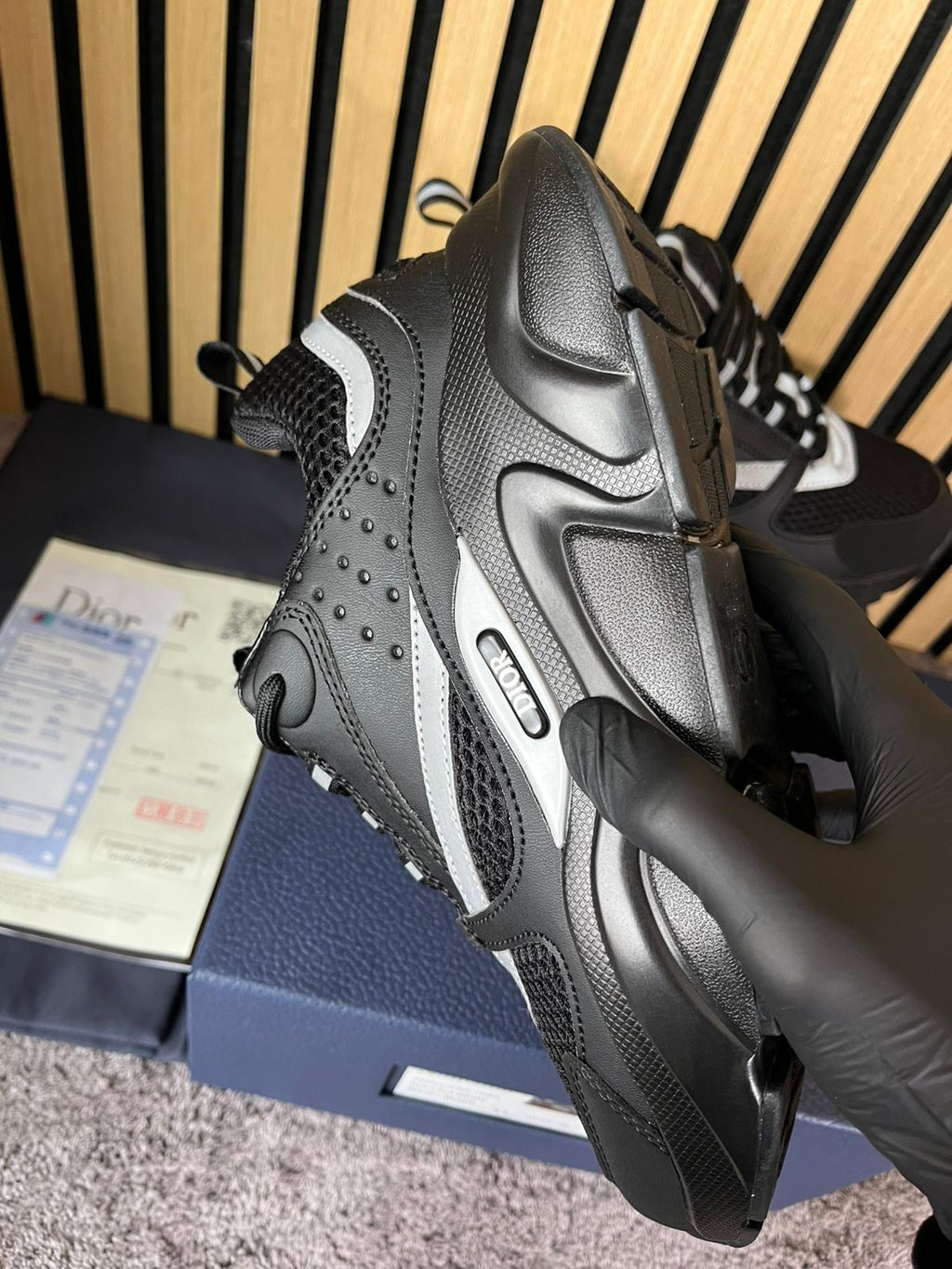 Dior B22