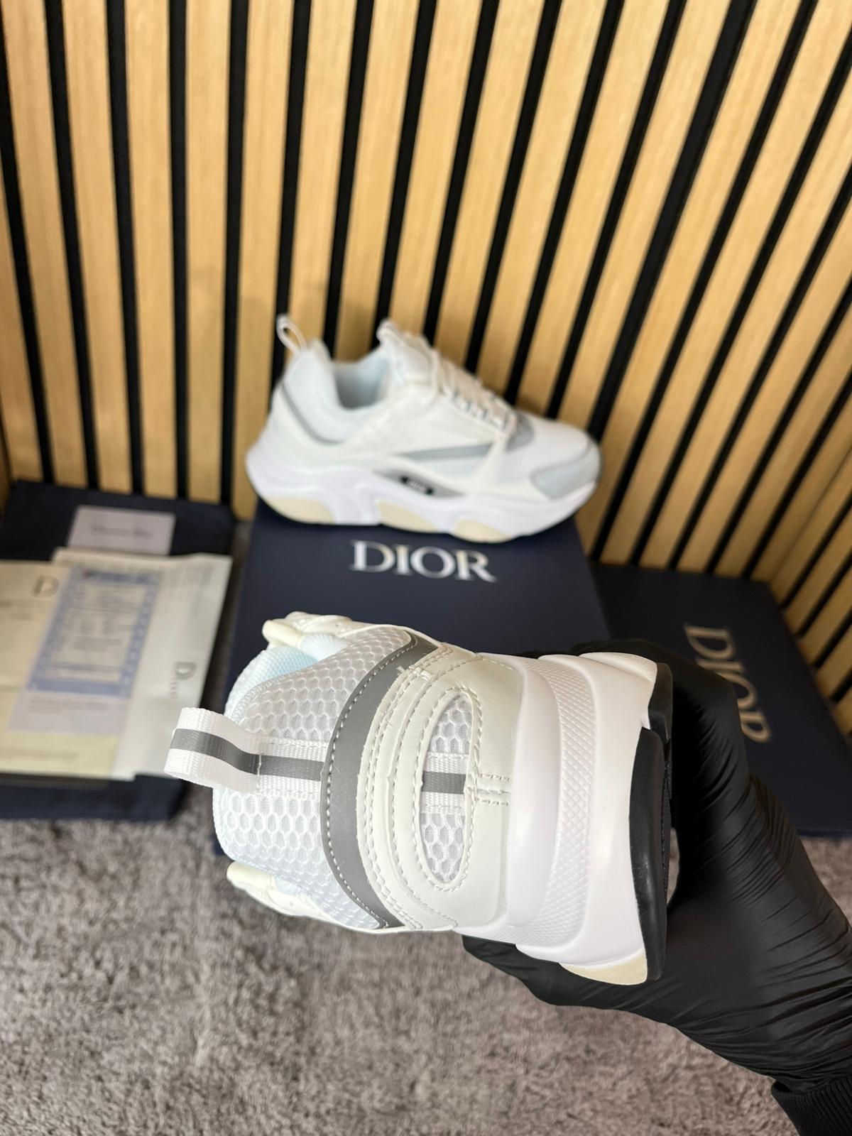Dior B22