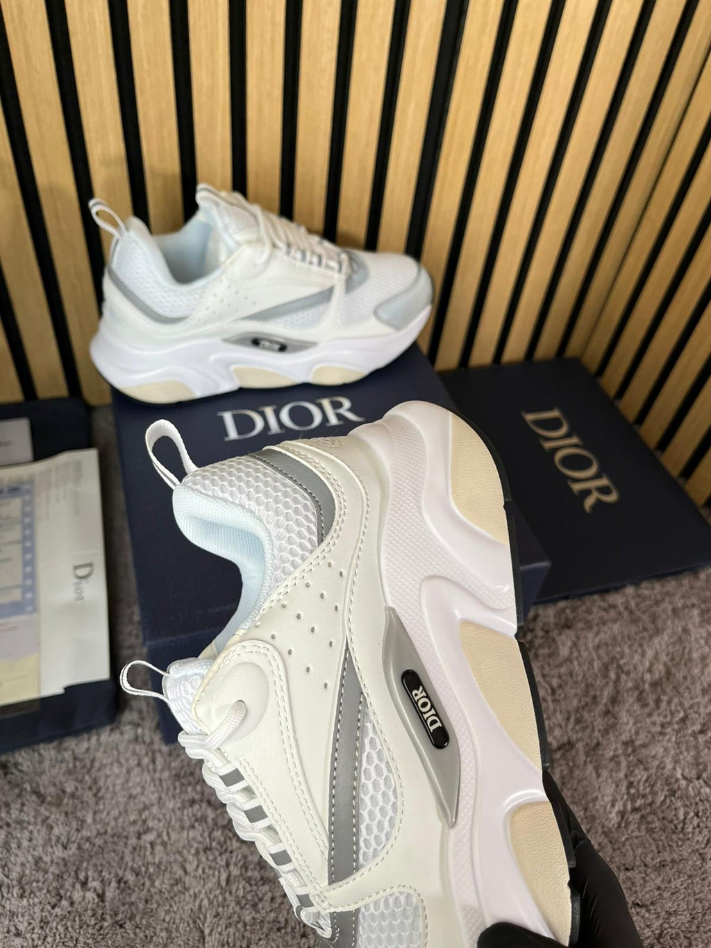 Dior B22
