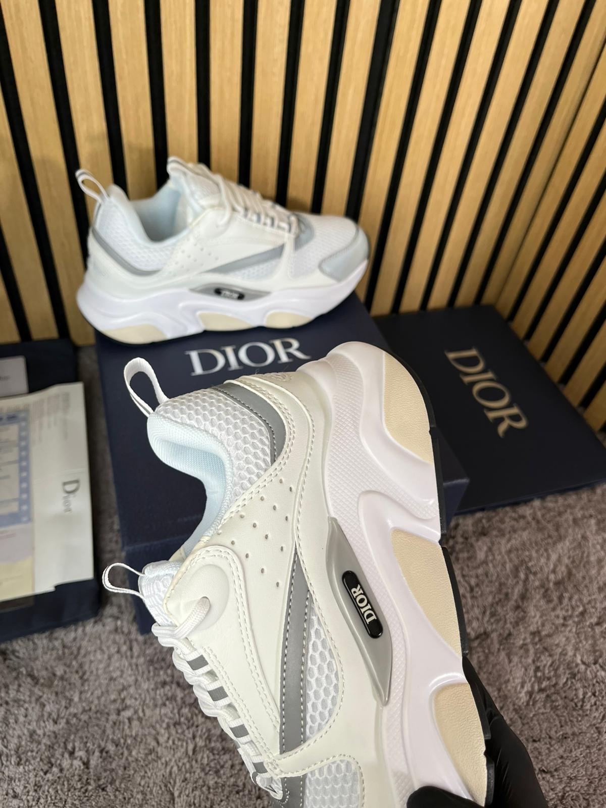 Dior B22