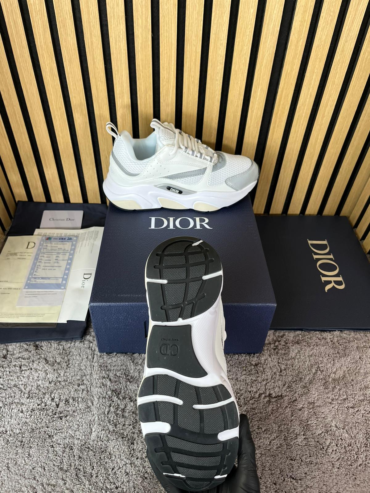 Dior B22