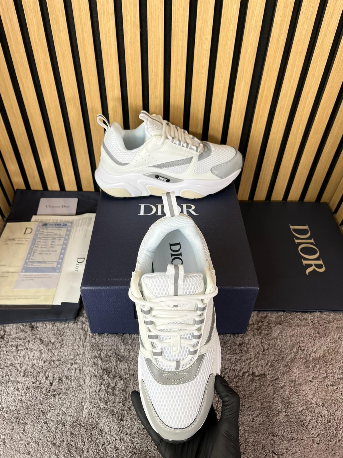 Dior B22