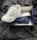 Dior B22