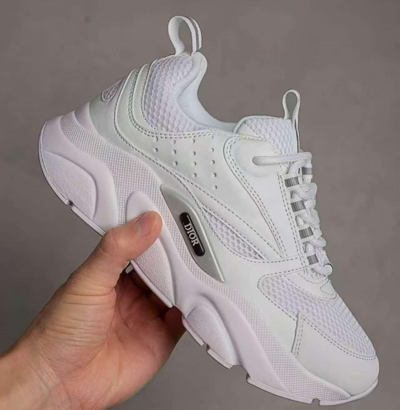 Dior B22