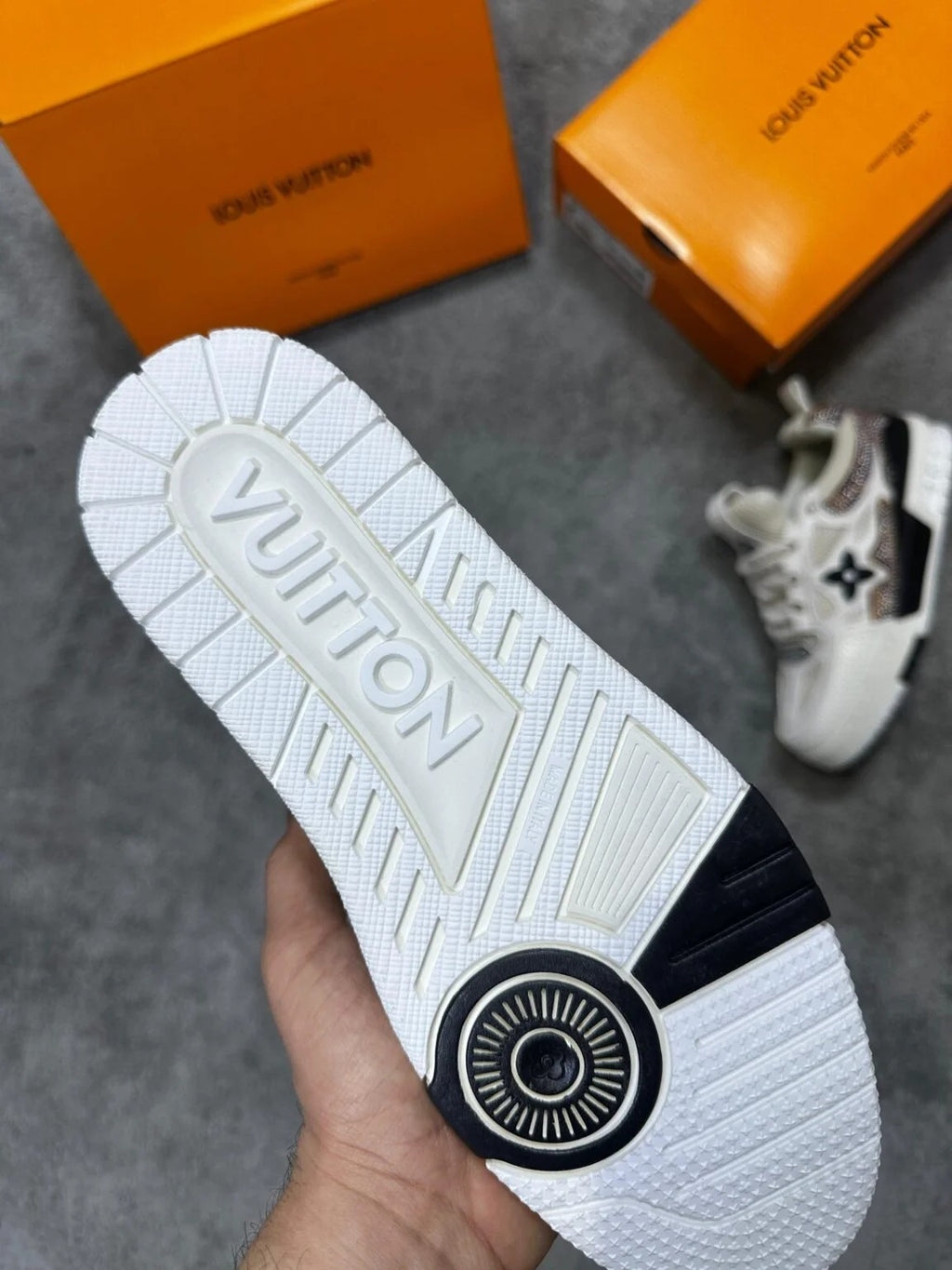 LOUIS VUITTON SKATE